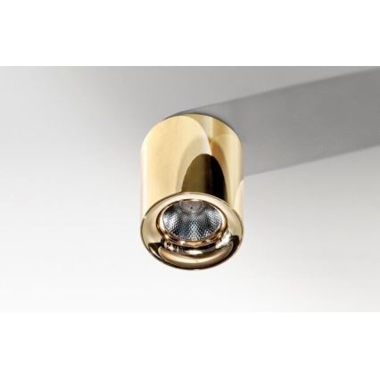 Azzardo AZ2846 - Luminaria de techo LED MANE LED/10W/230V