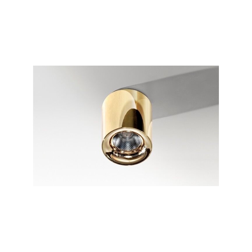 Azzardo AZ2846 - Luminaria de techo LED MANE LED/10W/230V