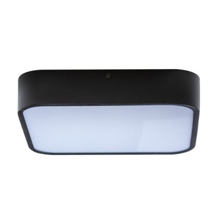 Azzardo AZ4147 - Plafón de baño LUCIE 3xE27/20W/230V IP44