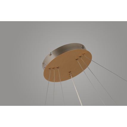 Azzardo AZ4429 - Lámpara LED colgante BRIGHTON LED/55W/230V dorado