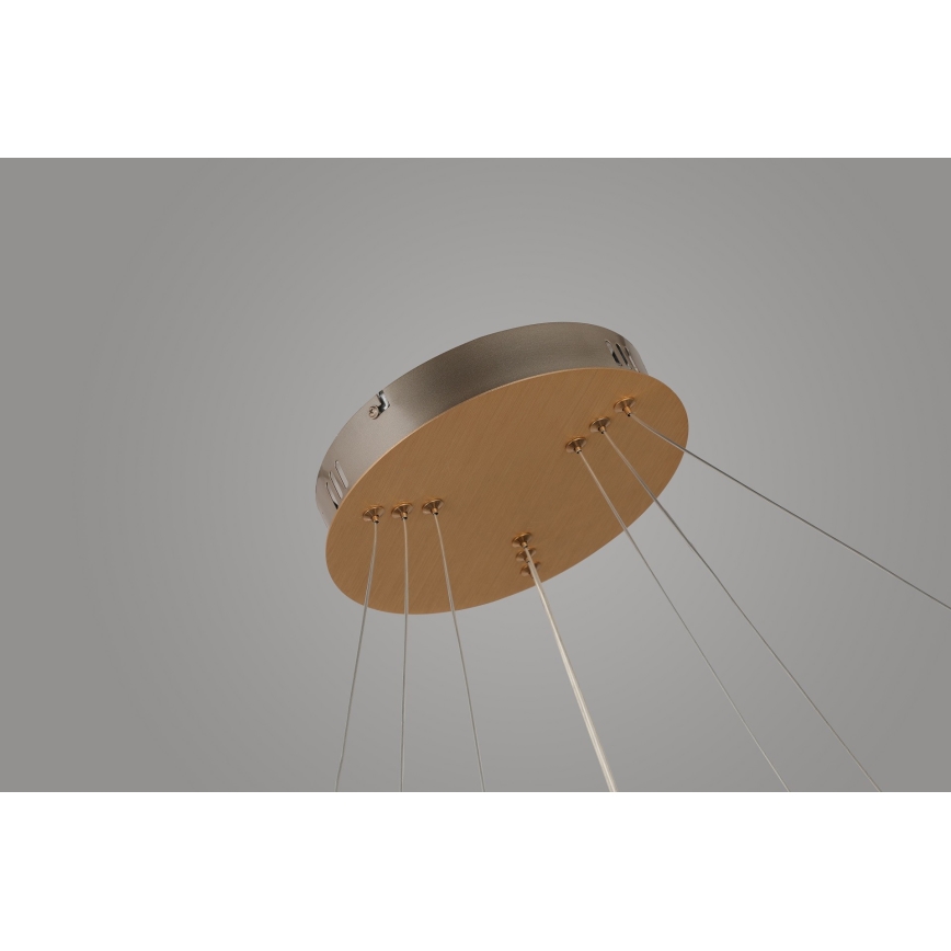 Azzardo AZ4429 - Lámpara LED colgante BRIGHTON LED/55W/230V dorado
