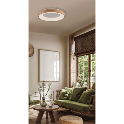 Azzardo AZ4988 - Plafón LED SANTANA LED/30W/230V dorado