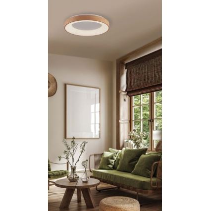 Azzardo AZ4989 - Plafón LED SANTANA LED/30W/230V marrón