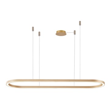 Azzardo AZ5058 - Lámpara de araña LED regulable ELENA LED/60W/230V 150 cm dorado