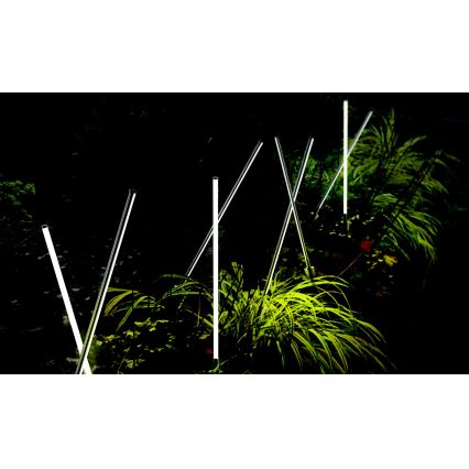 Azzardo AZ5337 - Lámpara LED de exterior FREDO LED/6W/230V IP54 58 cm