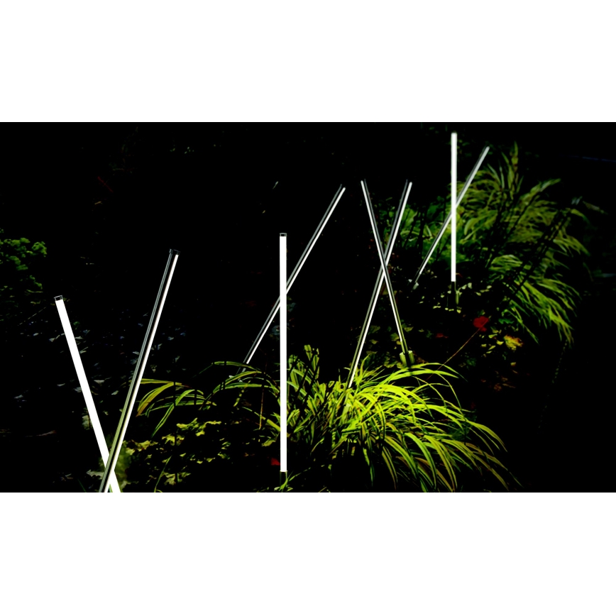 Azzardo AZ5337 - Lámpara LED de exterior FREDO LED/6W/230V IP54 58 cm