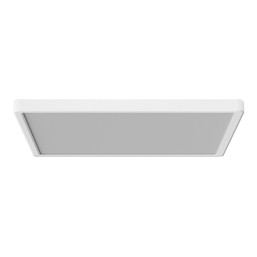 Azzardo AZ5373 - Lámpara de baño LED regulable PANKA LED/45W/230V IP40 blanco