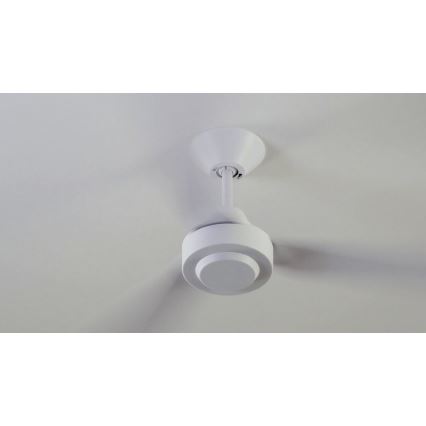 BAYSIDE 213015 - Ventilador de techo CALYPSO