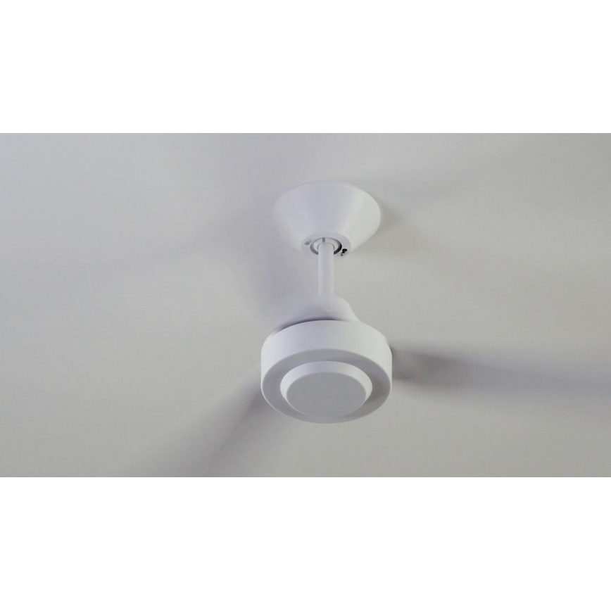 BAYSIDE 213015 - Ventilador de techo CALYPSO