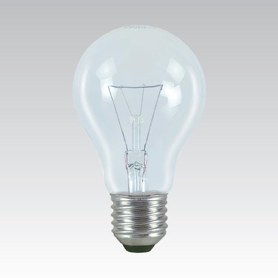 Bombilla industrial especial E27/100W/24V