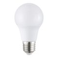 Bombilla LED A60 E27/8,5W/230V 6500K - Eglo 117595