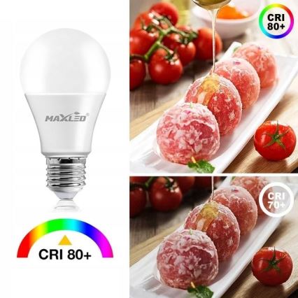 Bombilla LED A70 E27/17W/230V 6500K