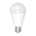 Bombilla LED A80 E27/18W/230V 3000K