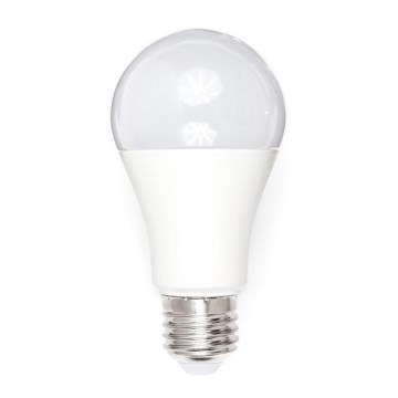 Bombilla LED A80 E27/18W/230V 3000K