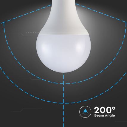 Bombilla LED A80 E27/20W/230V 4000K
