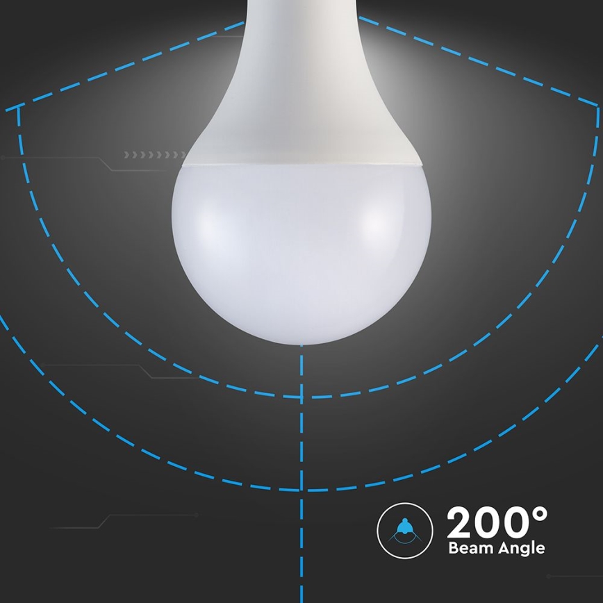 Bombilla LED A80 E27/20W/230V 4000K
