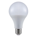 Bombilla LED A80 E27/20W/230V 6500K