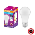Bombilla LED antibacteriana A100 E27/13W/230V 6500K - Osram
