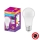 Bombilla LED antibacteriana A100 E27/13W/230V 6500K - Osram