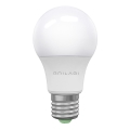 Bombilla LED ECOLINE A60 E27/15W/230V 6500K - Brilagi