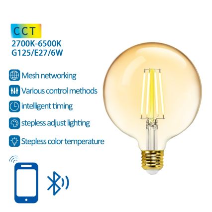 Bombilla LED regulable FILAMENT MESH Inteligente G125 E27/6W/230V 2700-6500K - Aigostar