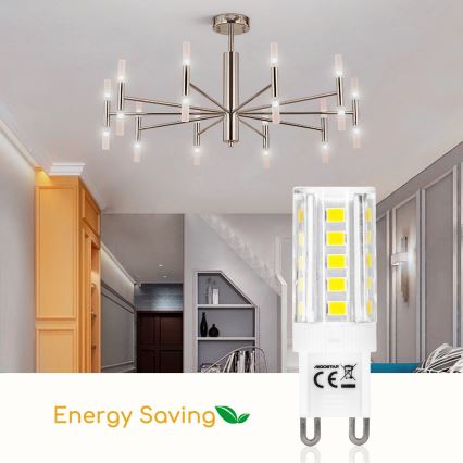Bombilla LED G9/3,5W/230V 6500K - Aigostar