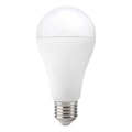 Bombilla LED GS E27/17W/230V 6500K