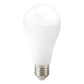Bombilla LED GS E27/22W/230V 4000K