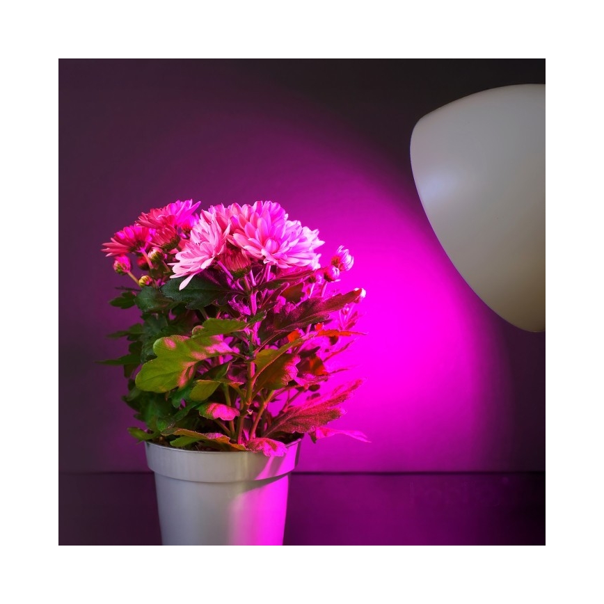 Bombilla LED para cultivo de plantas PLANTY E27/11W/230V 1200K blanco