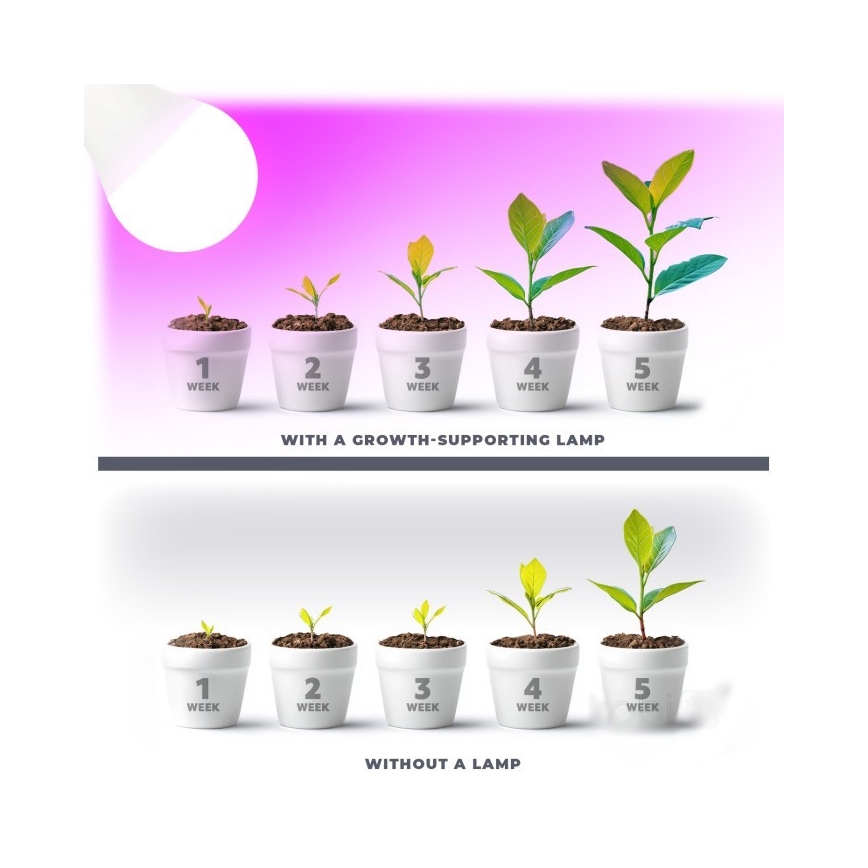 Bombilla LED para cultivo de plantas PLANTY E27/11W/230V 1200K blanco