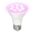 Bombilla LED para cultivo de plantas PLANTY E27/7W/230V 1200K blanco