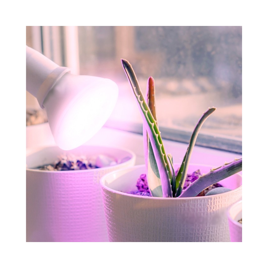 Bombilla LED para cultivo de plantas PLANTY E27/7W/230V 1200K blanco