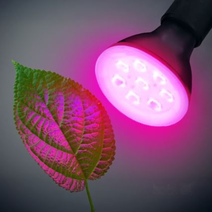 Bombilla LED para cultivo de plantas PLANTY E27/7W/230V 1200K negro