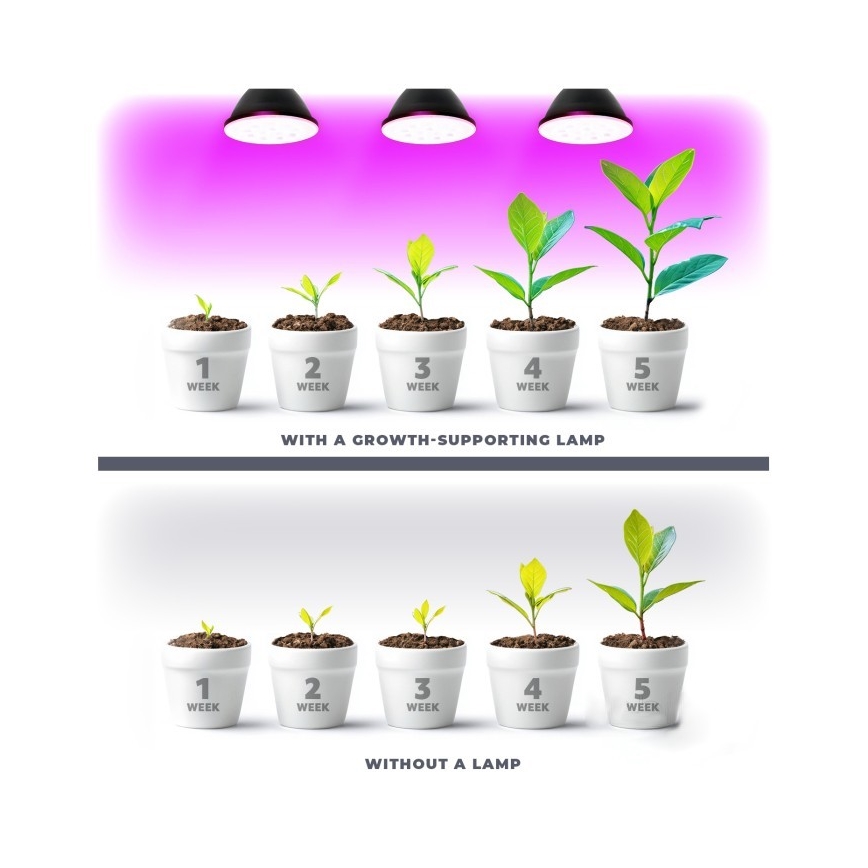 Bombilla LED para cultivo de plantas PLANTY E27/7W/230V 1200K negro