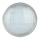 Bombilla LED para piscinas LED/18W/12V IP68 6500K