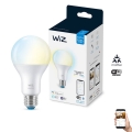 Bombilla LED regulable A67 E27/13W/230V 2700-6500K CRI 90 Wi-Fi - WiZ
