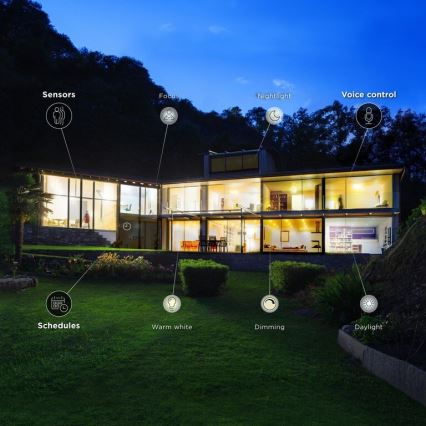 Bombilla LED regulable E14/6,5W/230V 2700-6500K Wi-Fi - WiZ