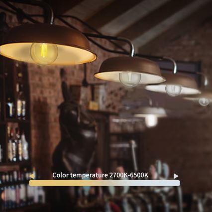 Bombilla LED regulable FILAMENT G45 E27/4,5W/230V 2700-6500K Wi-Fi - Aigostar