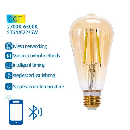 Bombilla LED regulable FILAMENT MESH Inteligente ST64 E27/6W/230V 2700-6500K - Aigostar