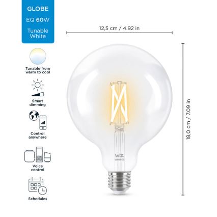 Bombilla LED regulable FILAMENT G125 E27/7W/230V 2700-6500K CRI 90 Wi-Fi - WiZ