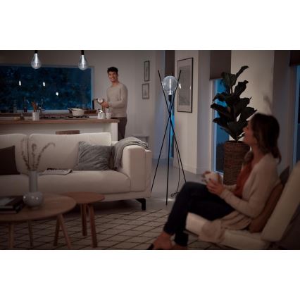 Bombilla LED regulable SMOKY VINTAGE Philips E27/6,5W/230V 4000K