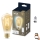Bombilla LED regulable VINTAGE FILAMENT ST64 E27/7W/230V 2000-5000K CRI 90 Wi-Fi - WiZ
