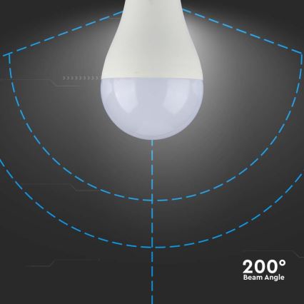Bombilla LED SAMSUNG CHIP A65 E27/15W/230V 3000K
