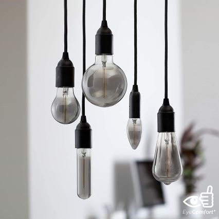 Bombilla LED SMOKY VINTAGE Philips T32 E27/2,3W/230V 1800K