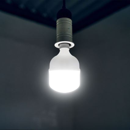 Bombilla LED T80 E27/20W/230V 6500K