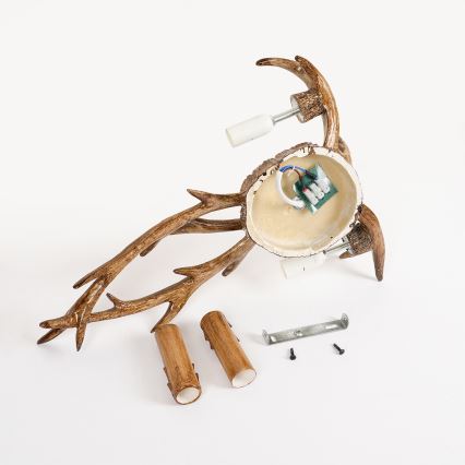 Brilagi - Aplique de pared DEER 2xE14/10W/230V con astas