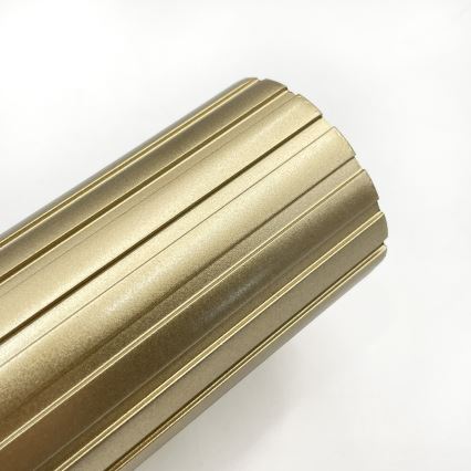 Brilagi - Aplique de pared orientable CRISPINA 1xGU10/10W/230V acabado dorado