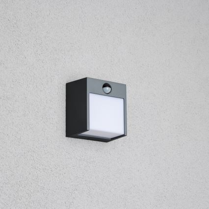 Brilagi - Aplique LED de exterior con sensor TERNI LED/12W/230V antracita IP44