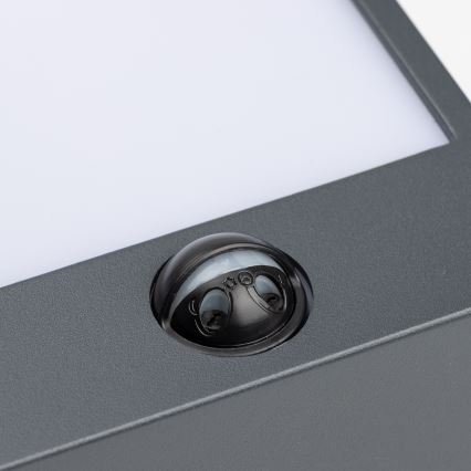 Brilagi - Aplique LED de exterior con sensor TERNI LED/12W/230V antracita IP44