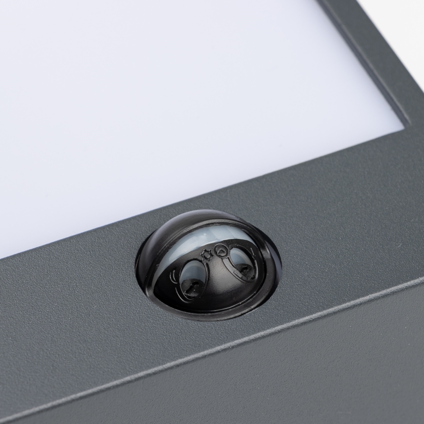 Brilagi - Aplique LED de exterior con sensor TERNI LED/12W/230V antracita IP44